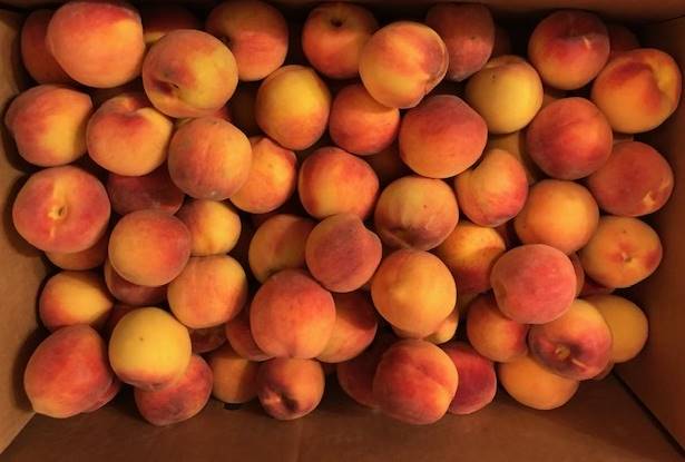 Peaches