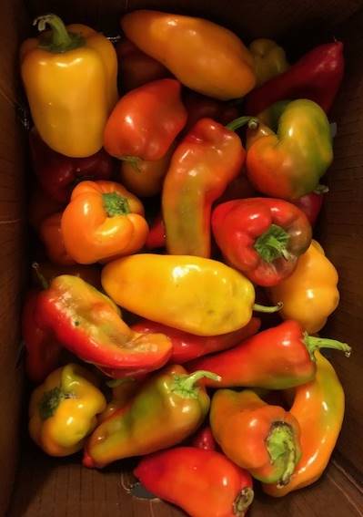 Peppers