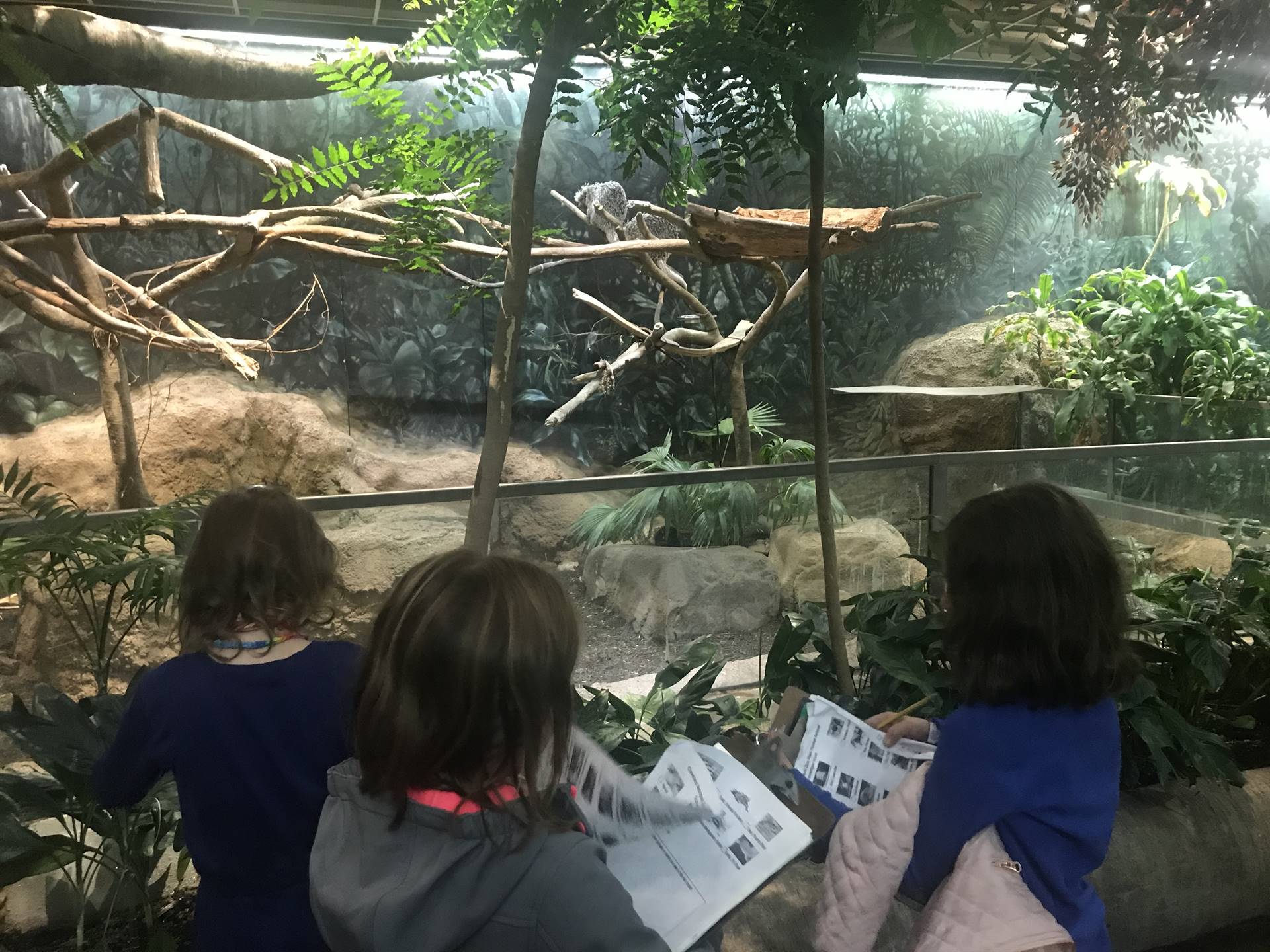 Zoo Rain Forest