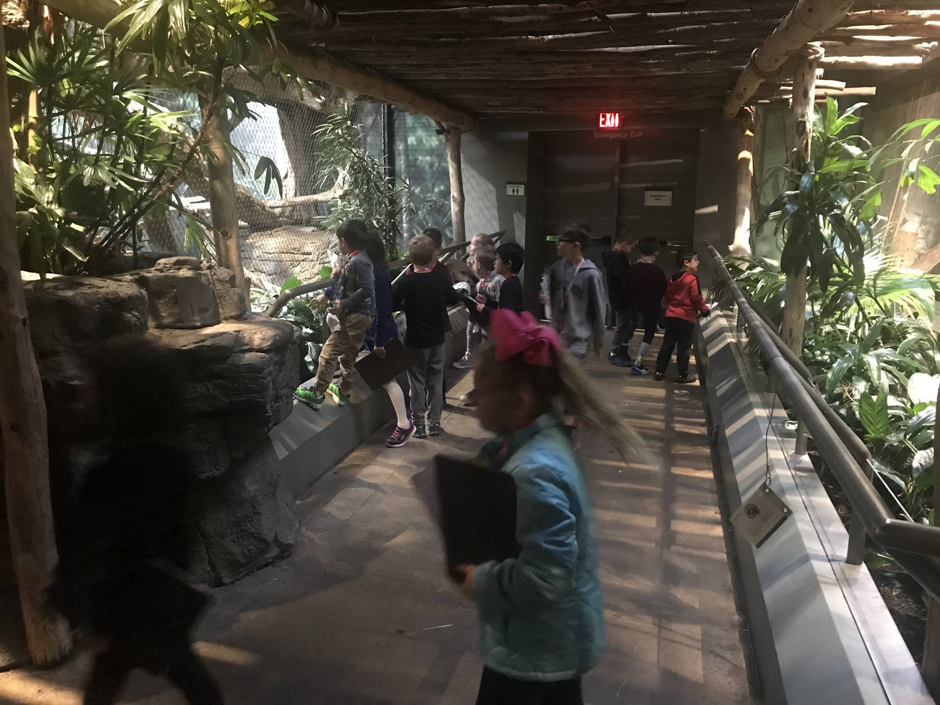 Zoo Rain Forest