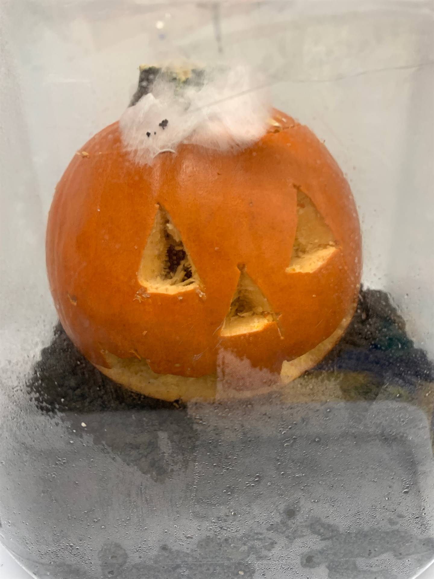 Day 4