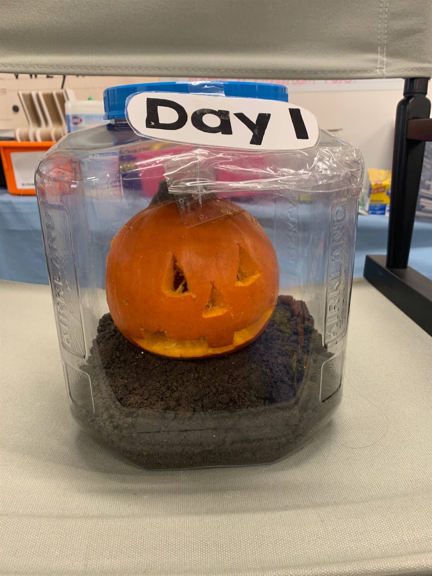 Day 1