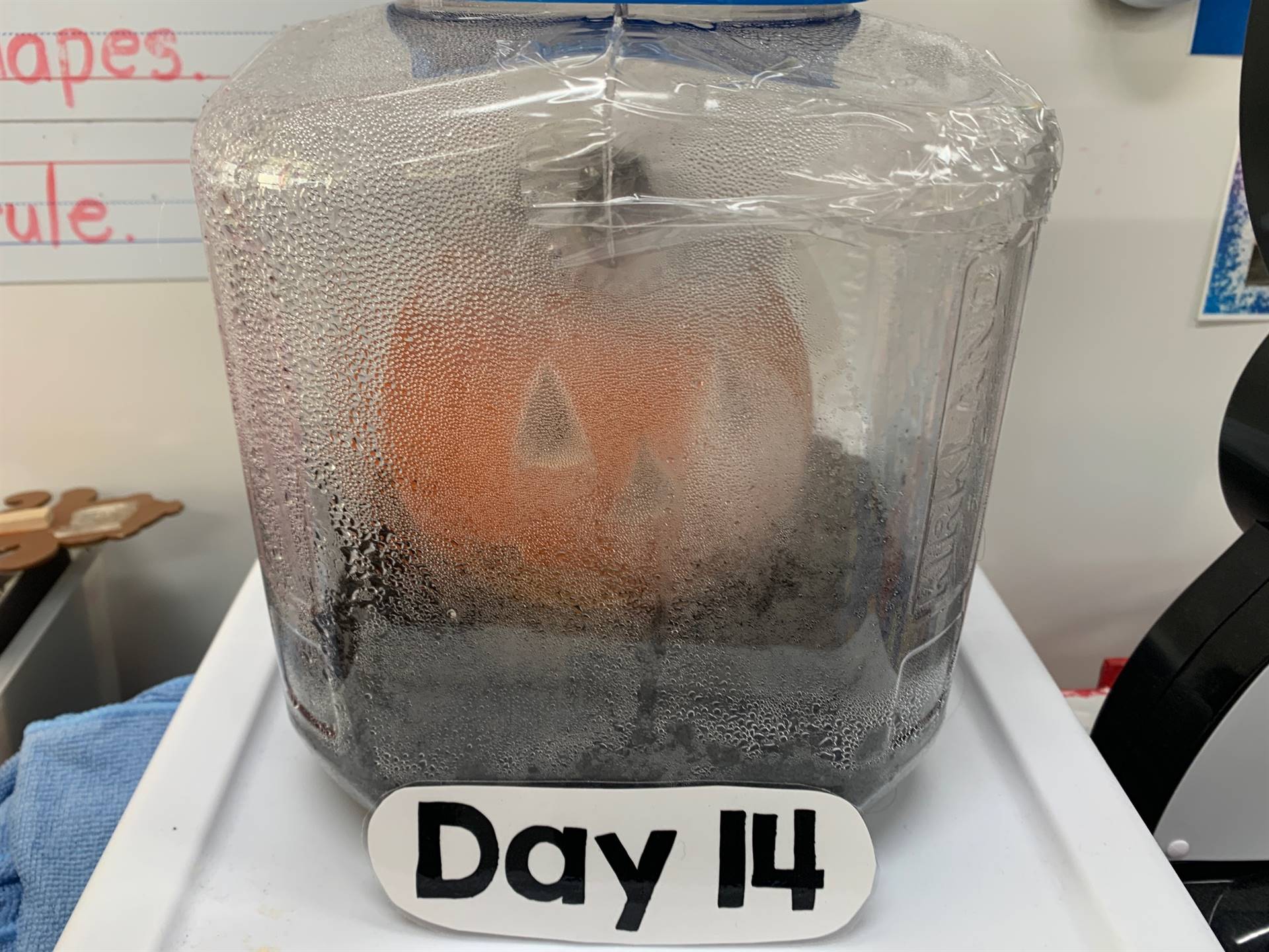 Day 14