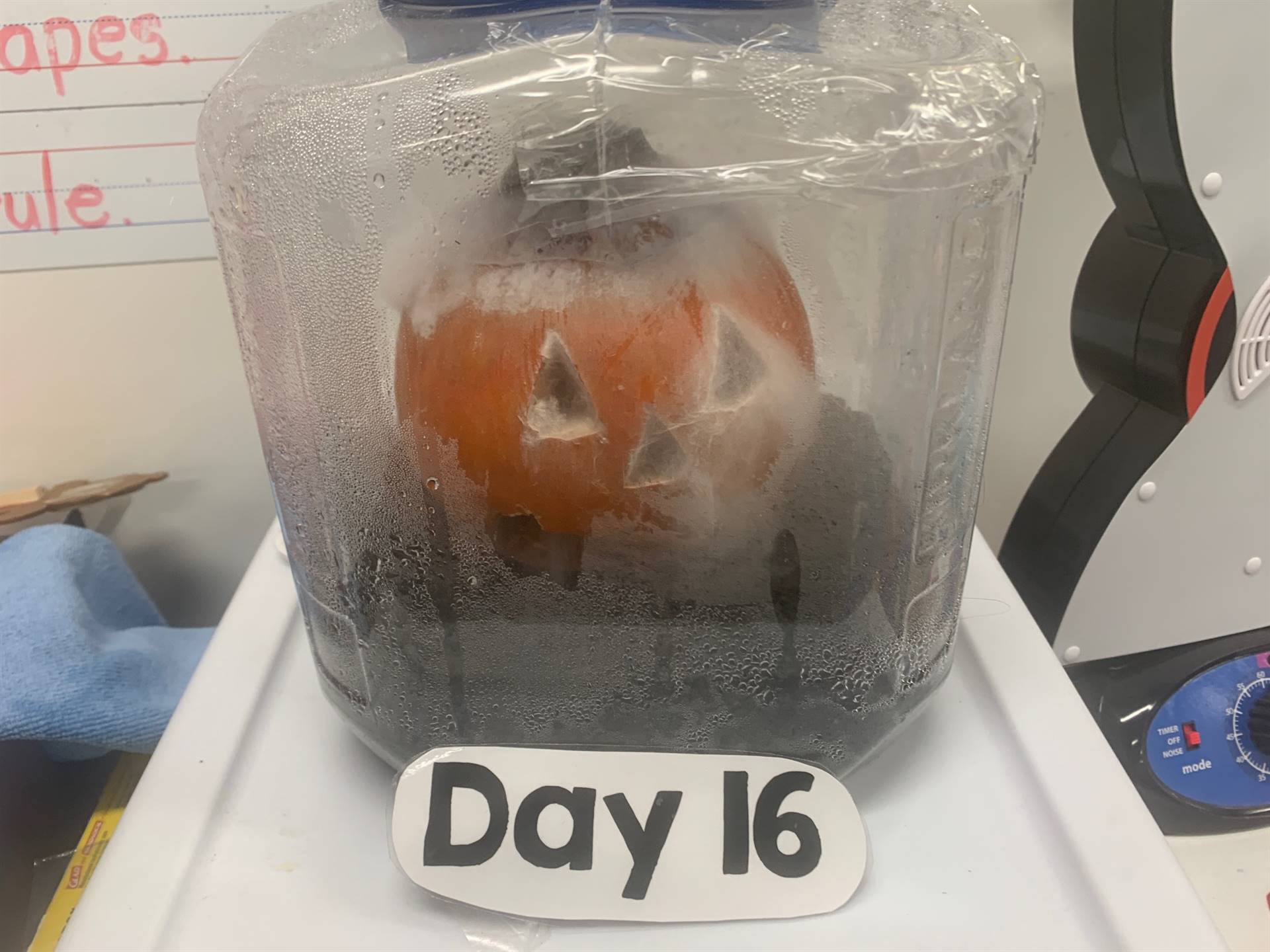 Day 16