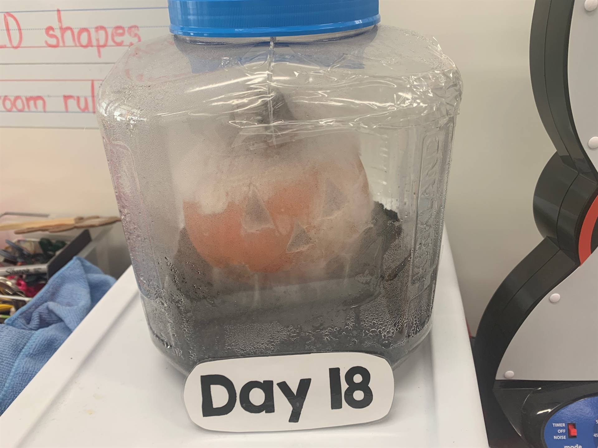 Day 18