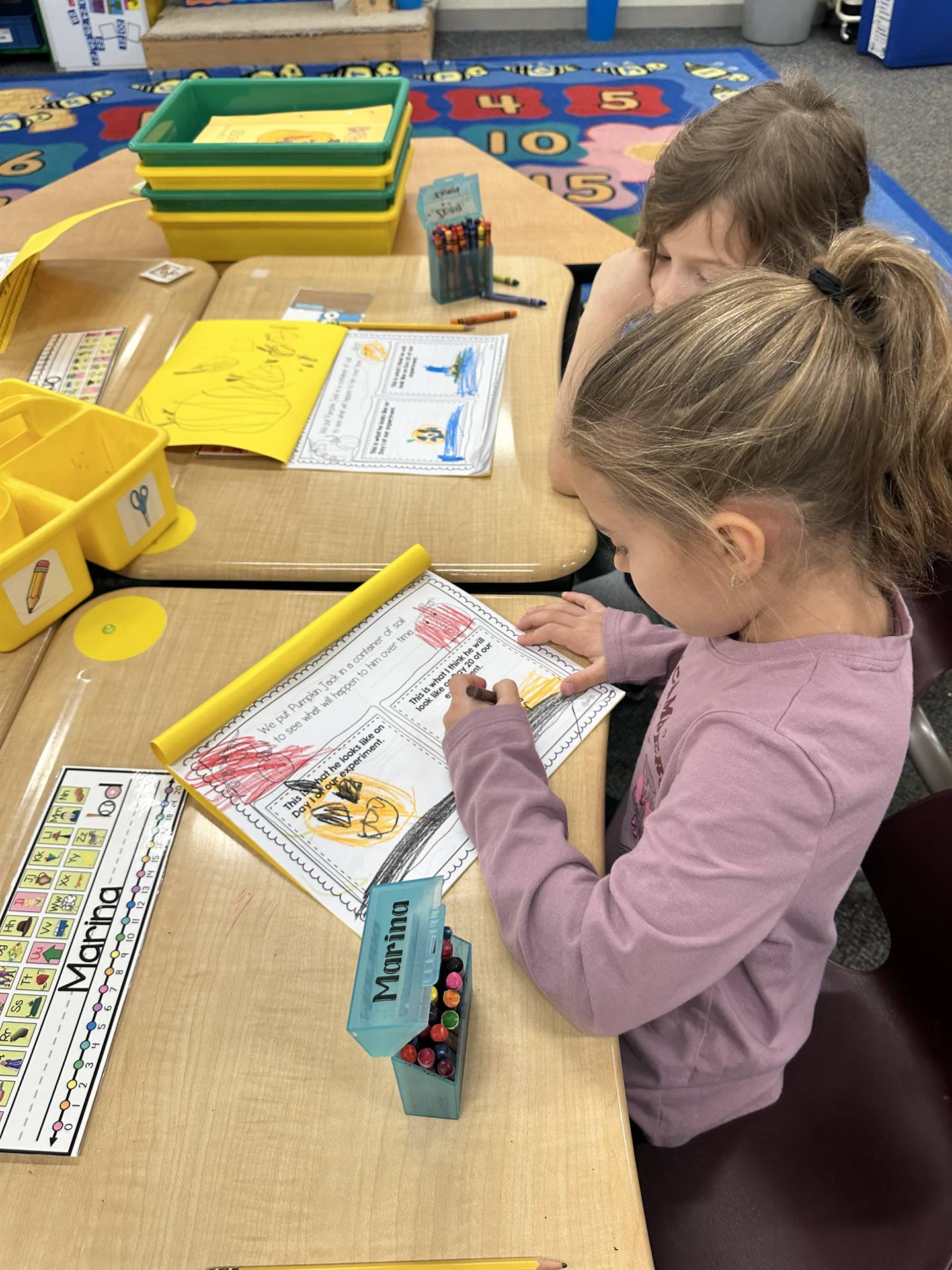 Recording our observations in our Pumpkin Jack Journal