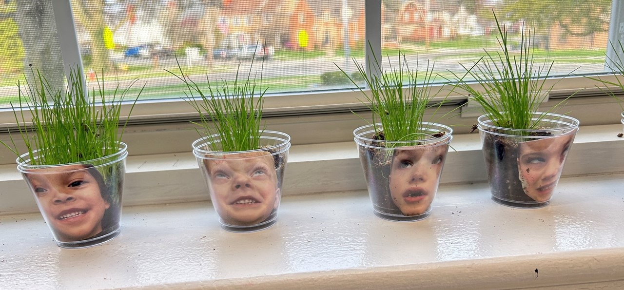 grass growing